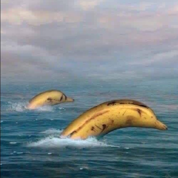 Meet your Posher, Michelle - Picture 1 of 1